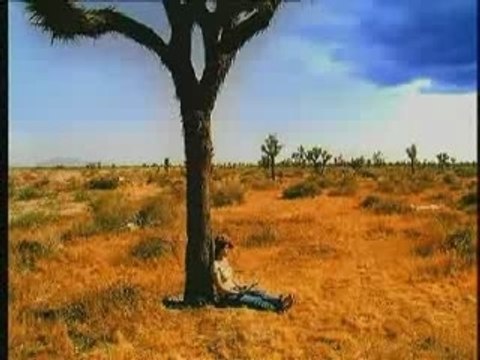 Ho Yeow Sun - Lonely Travel, You Are My Star