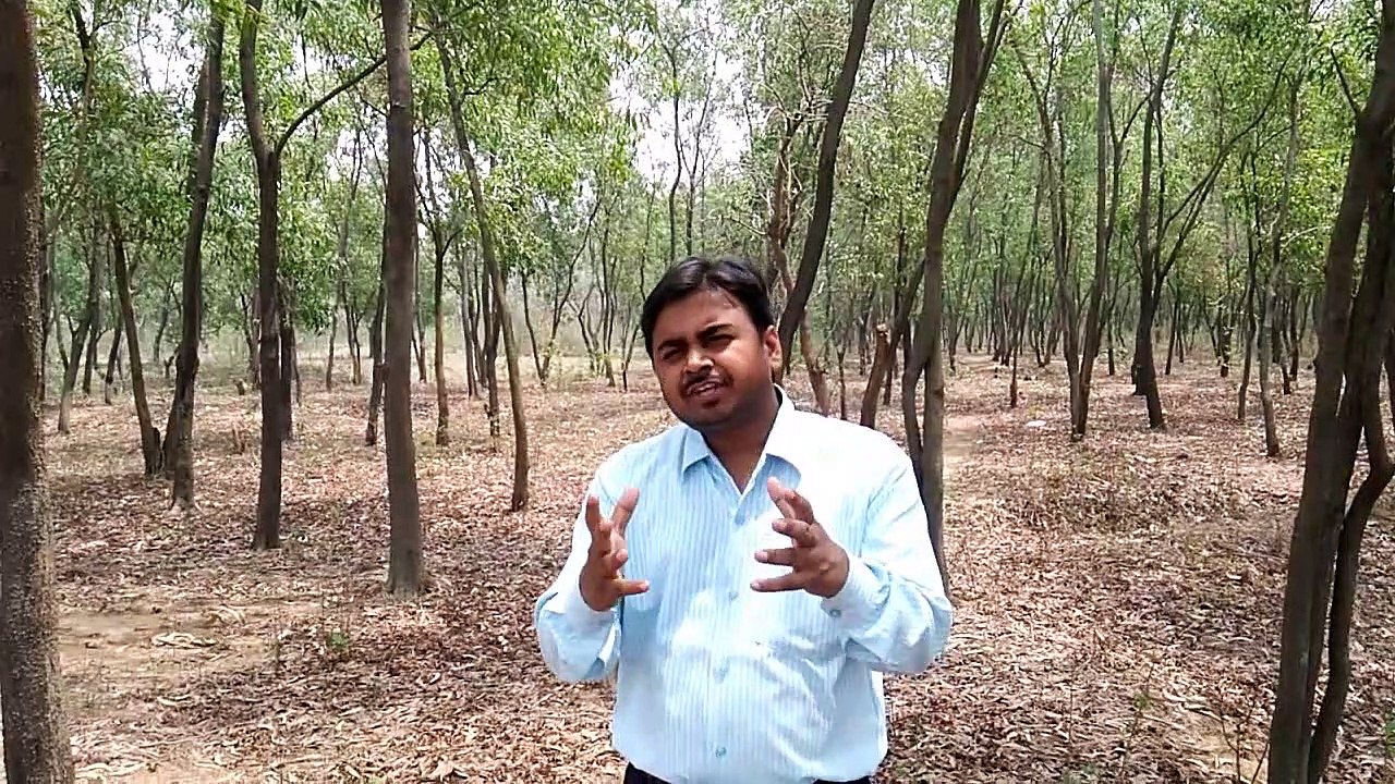 'EDUCATION AS A SERIES OF EXPERIENCES' - By Dr. Dipak Kumar Singh