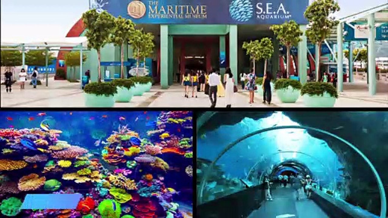 20 Best Aquariums from around the World
