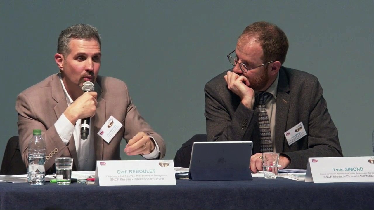 Débat public NFL - Réunion publique - Anse - 18 avril 2019 - Partie 4