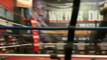 Showtime Boxing spent a day with Deontay Wilder as he trains his fight against Dominic Breazeale.
