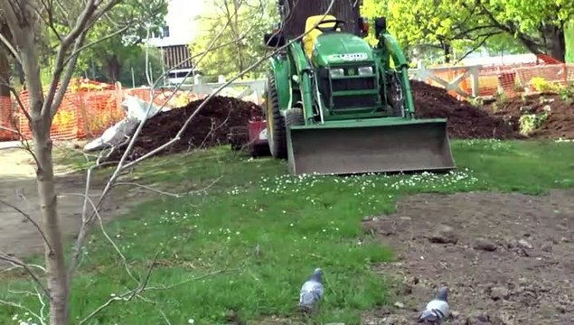 LES W-D.D. MICHOU NEWS - 19 AVRIL 2019 - PAU - CE VENDREDI SAINT L'AVANCEMENT DES TRAVAUX DU PARC BEAUMONT