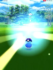 bagon shiny iv 100 cp 826
