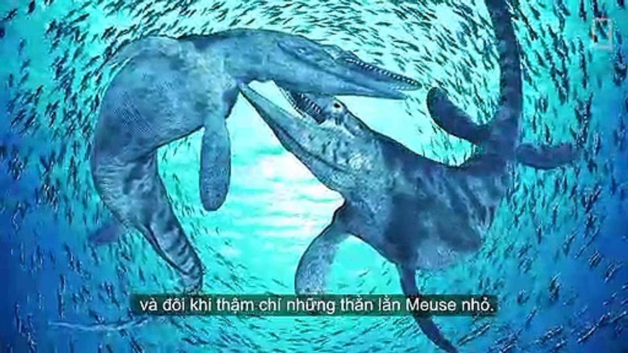 [vietsub] Mosasaurs 101 National Geographic