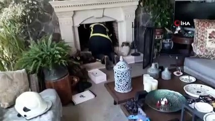 Şömine bacasına sıkışan yavru kedileri itfaiye kurtardı