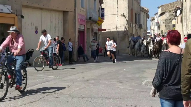 Beauvoisin : abrivado du club taurin L'Aficion