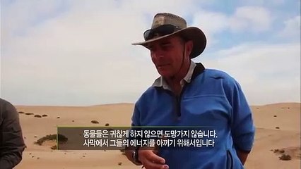 계룡출장안마 -후불1ØØ%ョØ7Øe7333e9649｛카톡LGT010｝계룡전지역출장안마'출장마사지'계룡출장안마'계룡출장마사지'출장안마'출장업소추천★イ