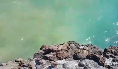 Nuevo vertido de aguas pestilentes en Puerto de Santiago