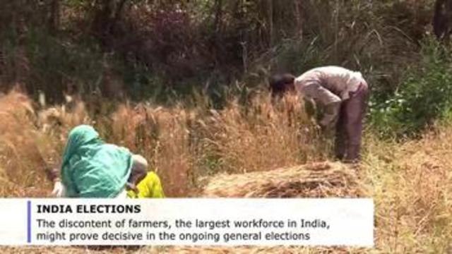Farming crisis looms large on India's ongoing general elections