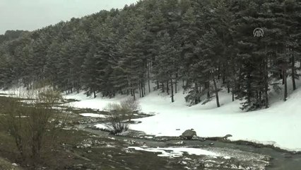 Şehitler Diyarı" Kış ve Baharı Bir Arada Yaşıyor