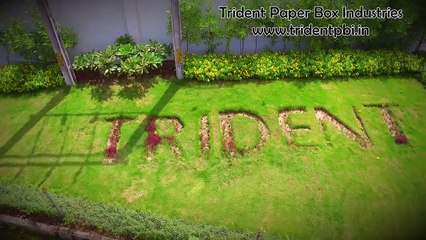Trident Corrugated Box Manufacturer Exporter -  5 Ply Auto Plant in Pardi Vapi Gujarat