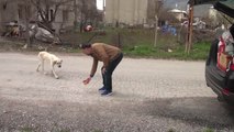 Eski Futbolcu Sokak Sokak Gezerek Hayvanları Besliyor