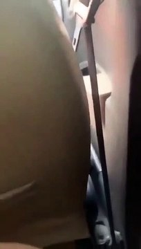 Taxi phàn nàn chó hôi, khách gắt: Chó toàn tiền chục triệu