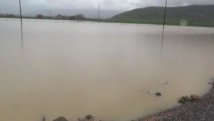 Muş'ta Kaz ve Hindi Çiftliğini Su Bastı