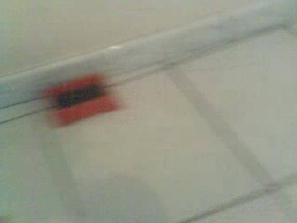 Vidéo015
