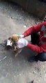 Poor dog gets helped - Dog Need Help