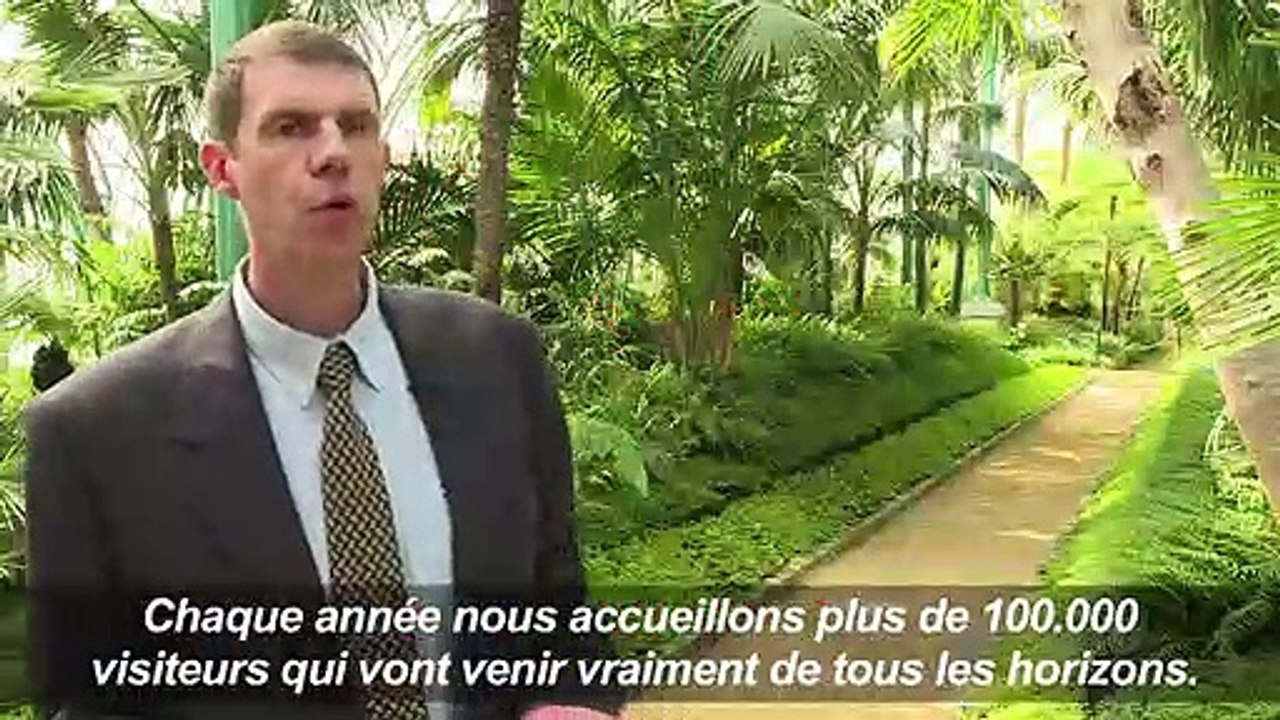 Ouverture des serres royales belges à Bruxelles