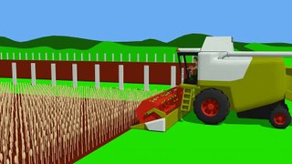 Green Harvester and Orange #Tractor - Farm Work | Farmer | harvest of grain | Bajka Traktor Żniwa