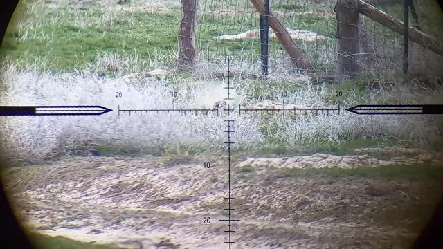 Airgun Hunting with .22 Slugs, .25 Slugs & .22 JSB Hades Pellet - Spring Pest Test