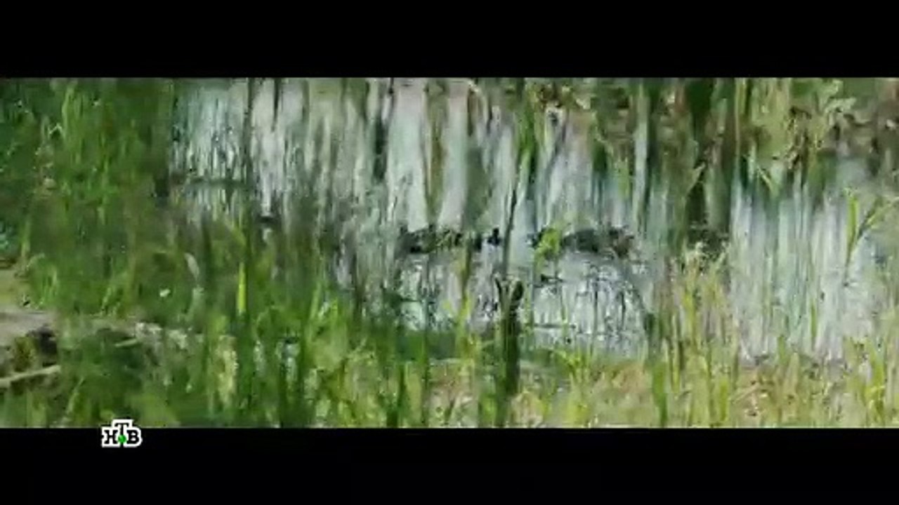 Поселенцы. 8 серия