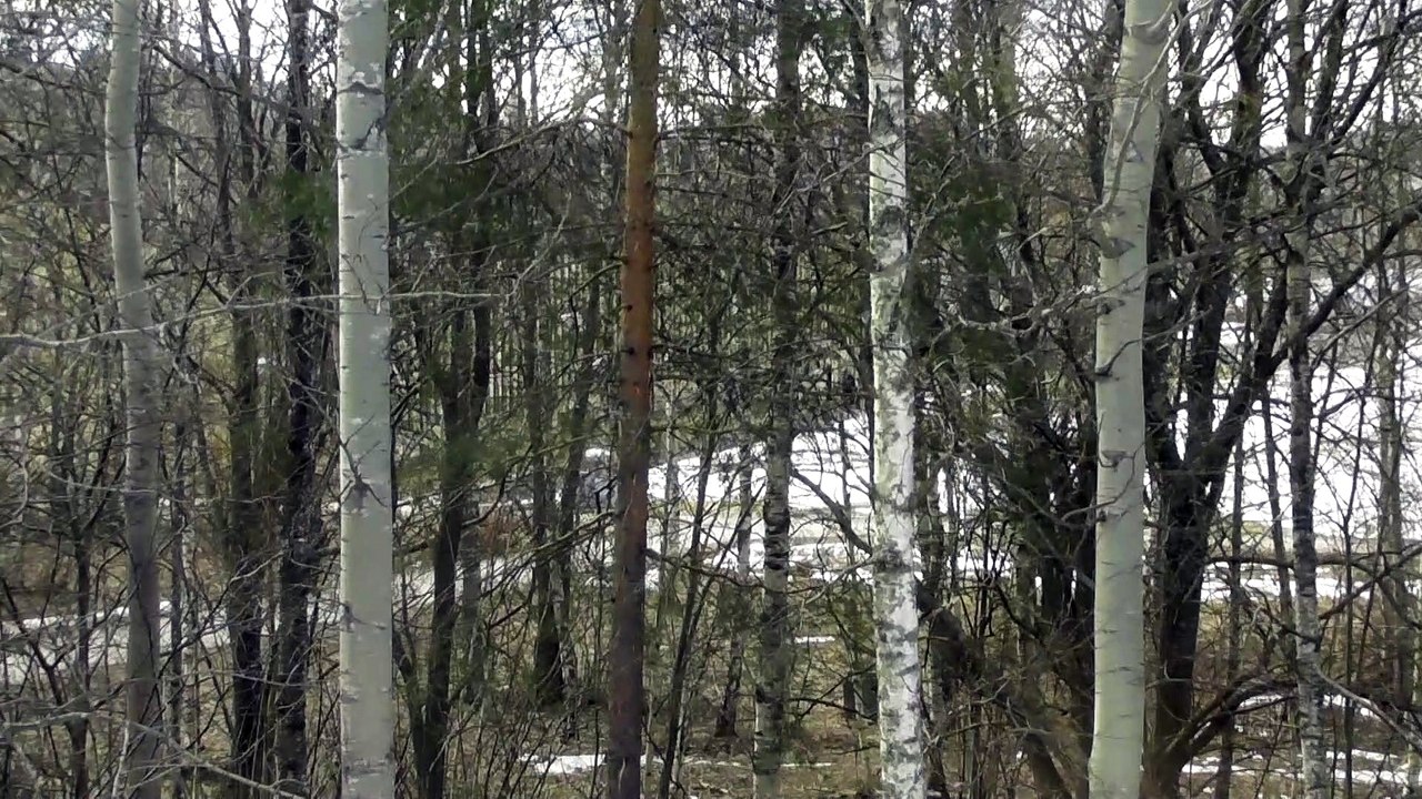 March 27 2019 DL1