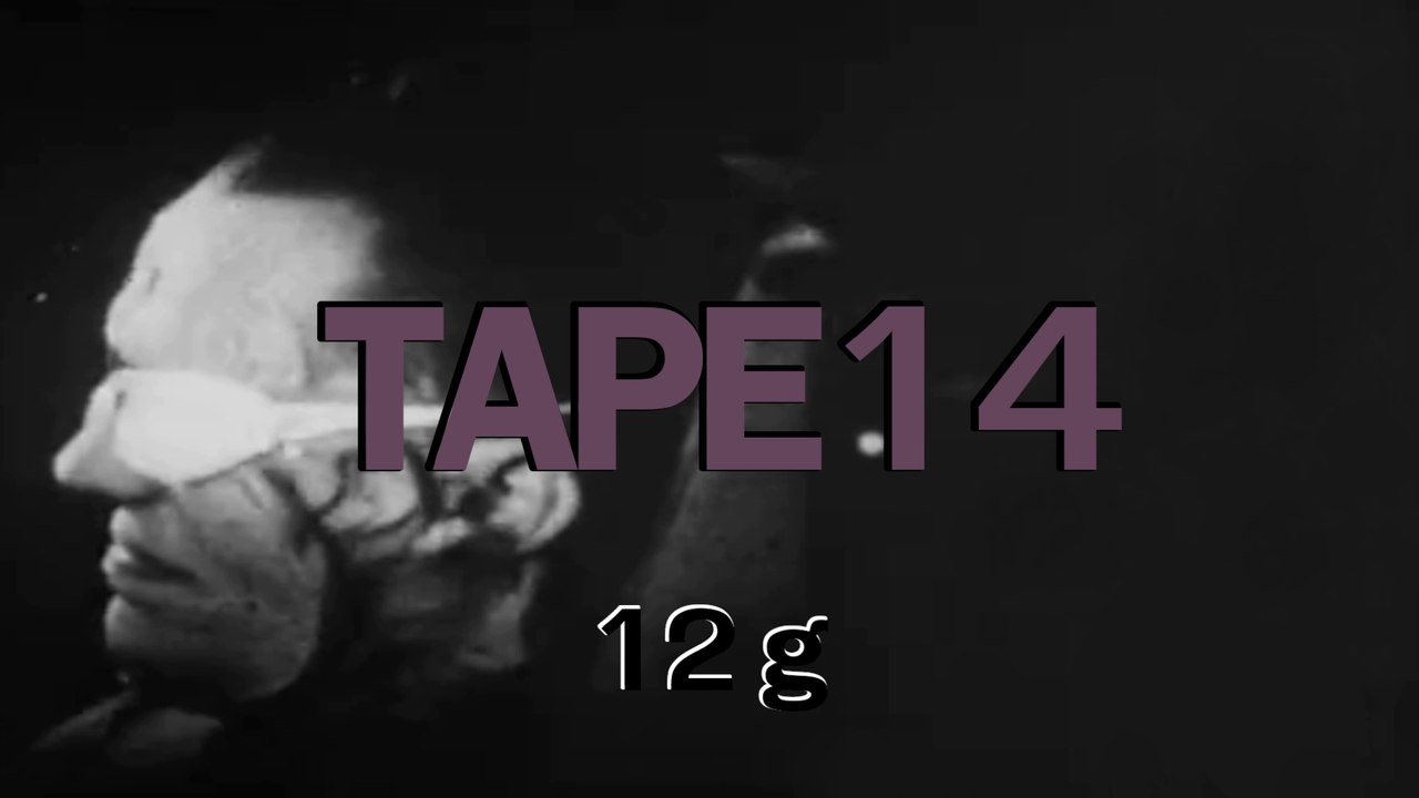 Instru Hip-hop Tape#14 "12g"