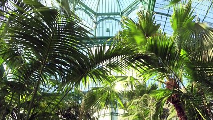 افتتاح البيوت الزجاجية الملكية في لاكن البلجيكية لموسم الربيع