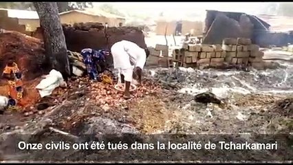 Video herunterladen: Nouvelle attaque de Boko Haram au nord du Cameroun