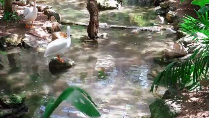 남원출장안마 -후불1ØØ%ョØ7Øe73Ø1e9649｛카톡CS69｝남원전지역출장안마'출장마사지'남원출장안마'남원출장마사지'출장안마'출장안마후기♠∧