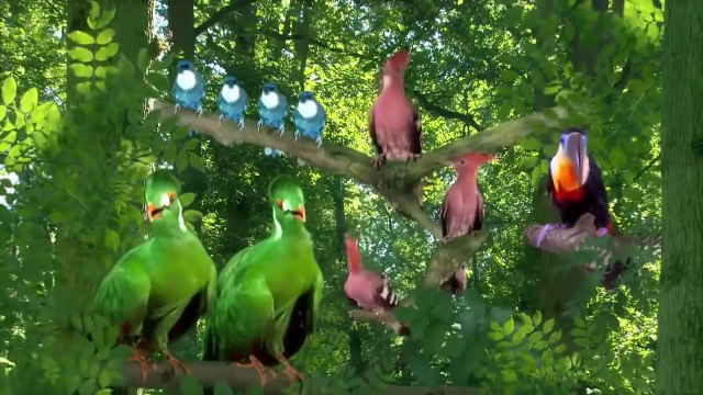 In the Night Garden 2 Hour Compilation with Igglepiggle, Upsy daisy and friends! - TV Shows for Kids prt 2/2