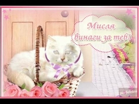 Не мога без теб!!!