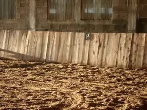 premiers sauts avec lui