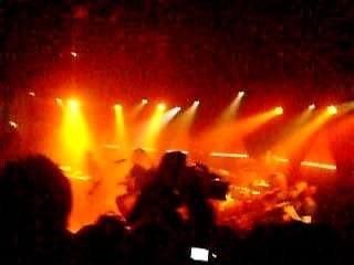 Letzte Minute - Killerpilze