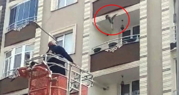 Çatıdan Sarkan İpe Dolanan Güvercini Ekipler Kurtardı