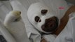 Erzurum Tüp Bebek İçin Geldiler, Yangında Hastanelik Oldular