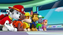 Abby Hatcher   PAW Patrol Team Up for the Rescue!
