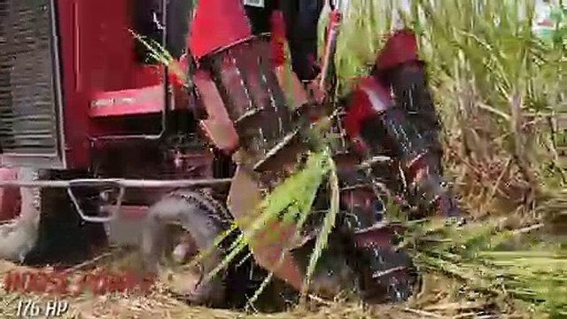 New Holland 3630 | Austoft 4000 Sugarcane Cutter so best performance |