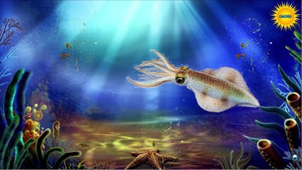 Bé Học Các Con Vật Sống Dưới Nước TÔM, CUA, CÁ, ỐC...