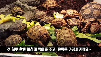광산출장안마 -후불100%ョ Ø7Øq5222w78Ø2｛카톡11982｝광산전지역출장마사지샵광산출장lj안마lj광산출장안마광산마사지황형ЪЫЬ