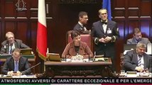 Xylella Puglia: Deputata M5S Sara Cunial contro abbattimento ulivi