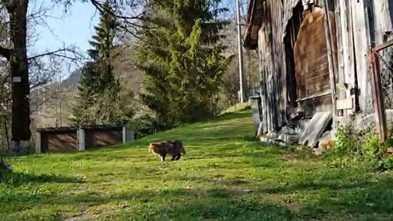Barthez au jardin
