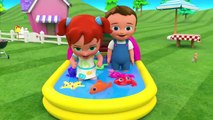 Apprendre les Chiffres pour les Enfants avec les Petits Bébés le Plaisir de Jouer en 3D Canards Ca