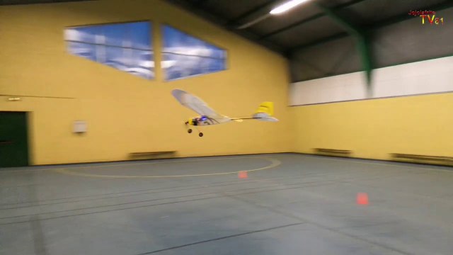 Aéromodélisme Avions Indoor 2019 (J.R)