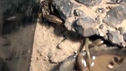 대구출장안마 -후불100%ョØ7Øn7575sØØ62｛카톡OYO78}대구전지역출장마사지샵대구출장lj안마lj대구출장안마대구마사지황형◆↓∈