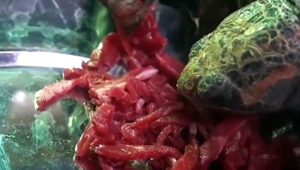 유성구출장안마 -후불100%ョØ7Øg5222w6739｛카톡ZZ67｝유성구전지역출장마사지샵유성구출장lj안마lj유성구출장안마유성구마사지황형ニヌネ