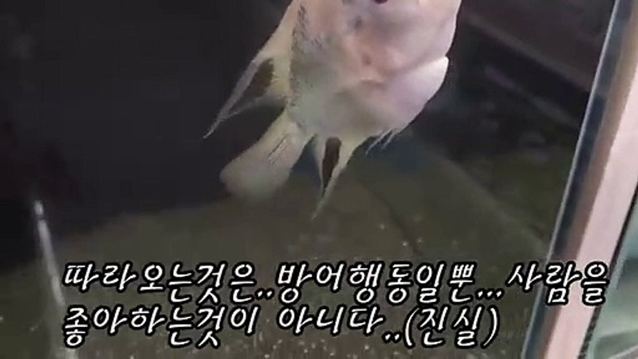 영양출장안마 -후불100%ョØ7Øv7575fØØ54｛카톡KC789}영양전지역출장마사지샵영양출장lj안마lj영양출장안마영양마사지황형στυ