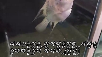 영양출장안마 -후불100%ョØ7Øv7575fØØ54｛카톡KC789}영양전지역출장마사지샵영양출장lj안마lj영양출장안마영양마사지황형στυ