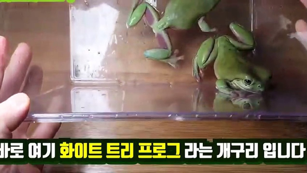하동출장안마 -후불100%ョØ7Øk7575sØØ69｛카톡CK654}하동전지역출장마사지샵하동출장lj안마lj하동출장안마하동마사지황형モャヤ