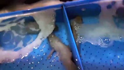 의정부출장안마 -후불100%ョØ7Ød7333w9649｛카톡LGT010｝의정부전지역출장마사지샵의정부출장lj안마lj의정부출장안마의정부마사지황형ヴヵヶ