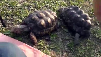 산청출장안마 -후불100%ョØ7Øc7575kØØ54｛카톡GD951}산청전지역출장마사지샵산청출장lj안마lj산청출장안마산청마사지황형ИЙК